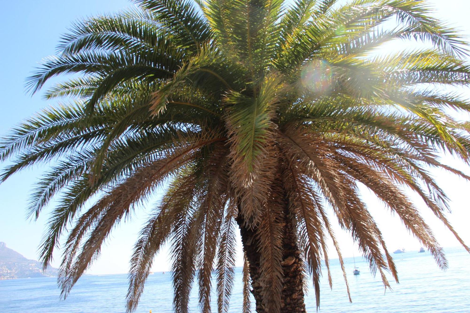 La Patricia - Charme Et Tradition Villefranche-sur-Mer